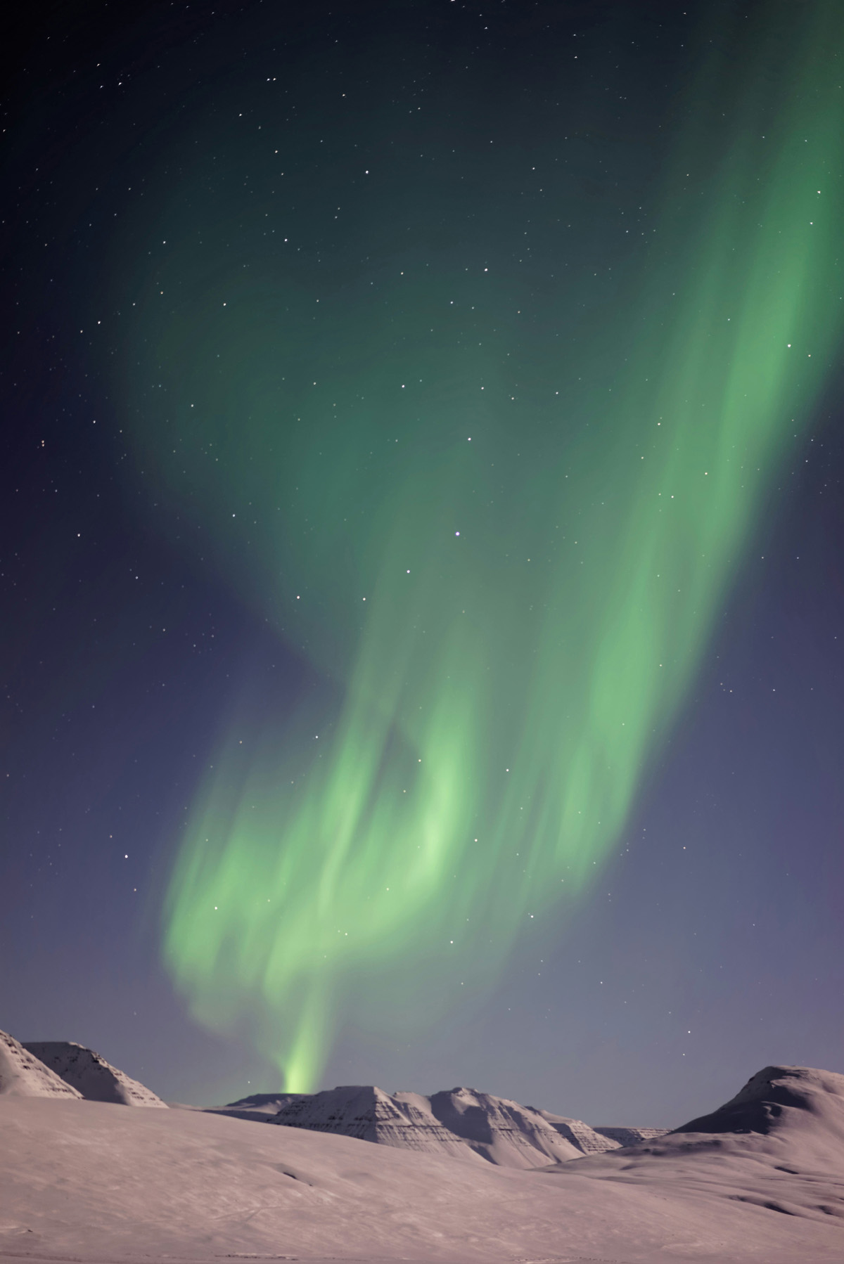 Aurora borealis over snowy mountains